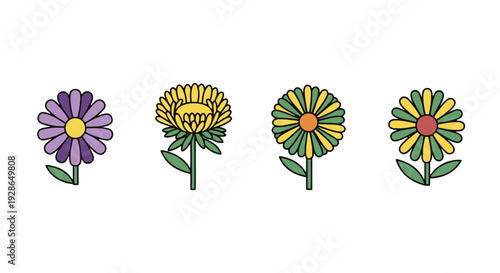 Aster Line art clean colorful vector