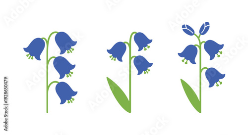 Bluebell Line art creative abstract smooth illustration