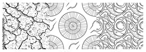 Collection of three hand drawn seamless patterns featuring cracked earth and abstract geometric shapes