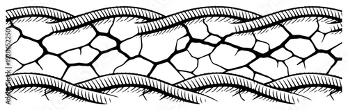 Horizontal border frame with rope texture and cracked earth center