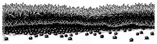 Vintage hand drawn sketch of a grassy field edge with soil and small stones