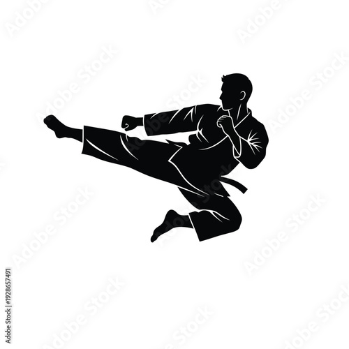 Dynamic Martial Arts Silhouette of a Man Performing a Flying Kick.