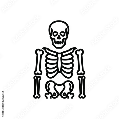 Human Skeleton Outline Icon.