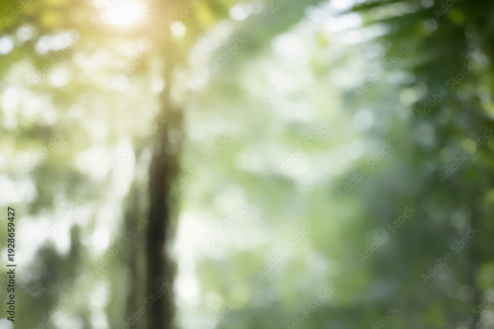 Fototapeta premium Web 20260226 01 Background