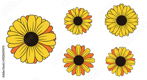Butter Daisy Line soft abstract tone illustration
