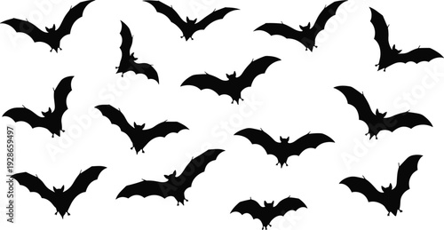 Black silhouette illustration of fifteen bats flying in various positions against white background, representing Halloween, nocturnal animals, gothic, and spooky design purposes