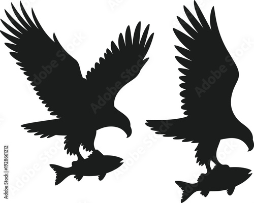 Eagles in flight silhouette, powerful birds clutching fish, predator hunting scene, wildlife nature illustration, dynamic wings spread, aquatic life interaction art