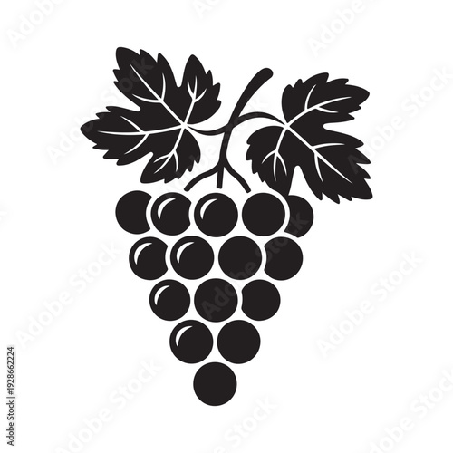 vector illustration of grapes