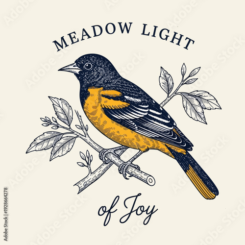 Baltimore Oriole perched on a branch with leaves, vintage illustration style.
