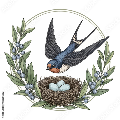 Barn Swallow Flying Above Nest with Eggs in Botanical Wreath.
