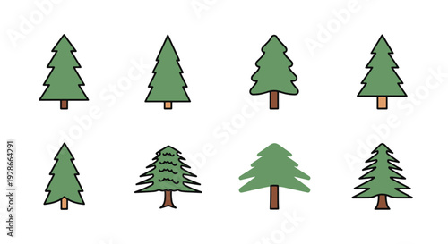 Cedar tree Line art modern smooth minimal illustration