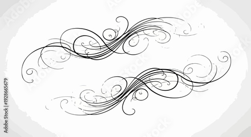 Elegantes adornos caligráficos en espiral, ideales como divisores o marcos decorativos de estilo vintage para diseños.