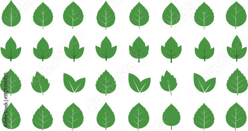 Leaf Icon Collection with Different Shapes and Styles for Nature, Eco, and Sustainability Design Elements