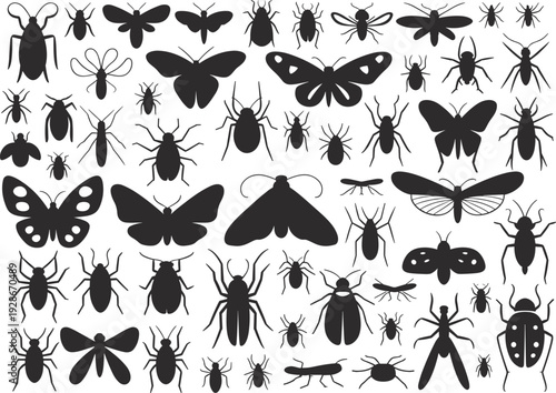 Insect silhouettes, butterfly icons, beetle shapes, ant vector collection, dragonfly design elements, moth illustration, entomology artwork, nature patterns, bug graphics