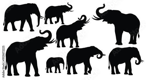 A group of black elephant silhouettes on a white background