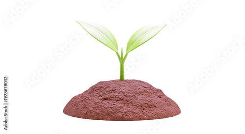 Young plant sprouting from soil mound