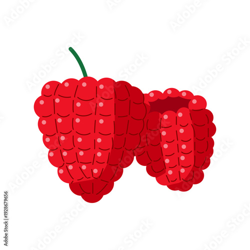 主線を使用しないフラットな質感のラズベリーイラスト | 赤いベリーのモダンなベクター素材