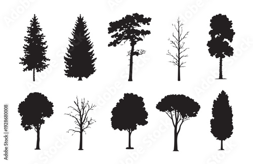 Set of ten black tree silhouettes, collection of various deciduous and coniferous forest tree icons