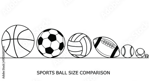 This vector illustration graphic presents a clear, comprehensive size comparison of various popular sports balls arranged neatly in a single row for easy reference.