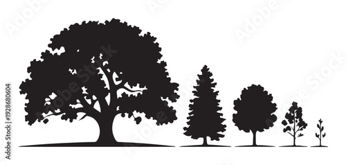 Set of various tree silhouettes from large oak to small sapling representing growth and forest diversity