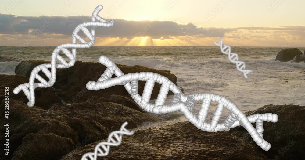 Naklejka premium Displaying dominant white 3D DNA helix over rocky coastal shoreline at sunset with low clouds