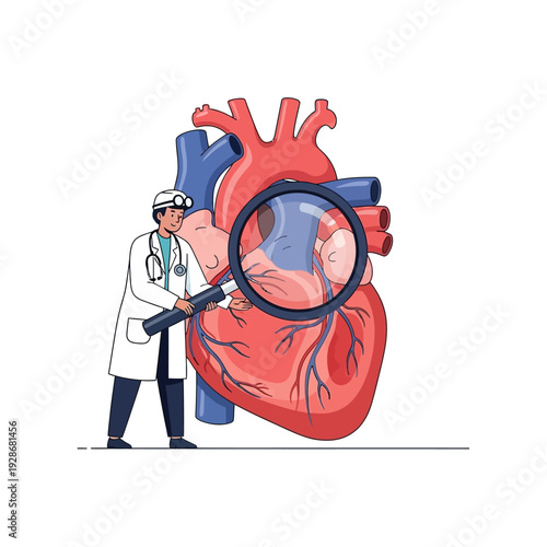Doctor examining human heart with magnifying glass, cardiology concept