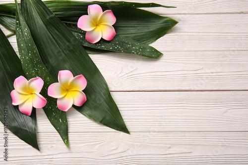 Beautiful plumeria flowers ...