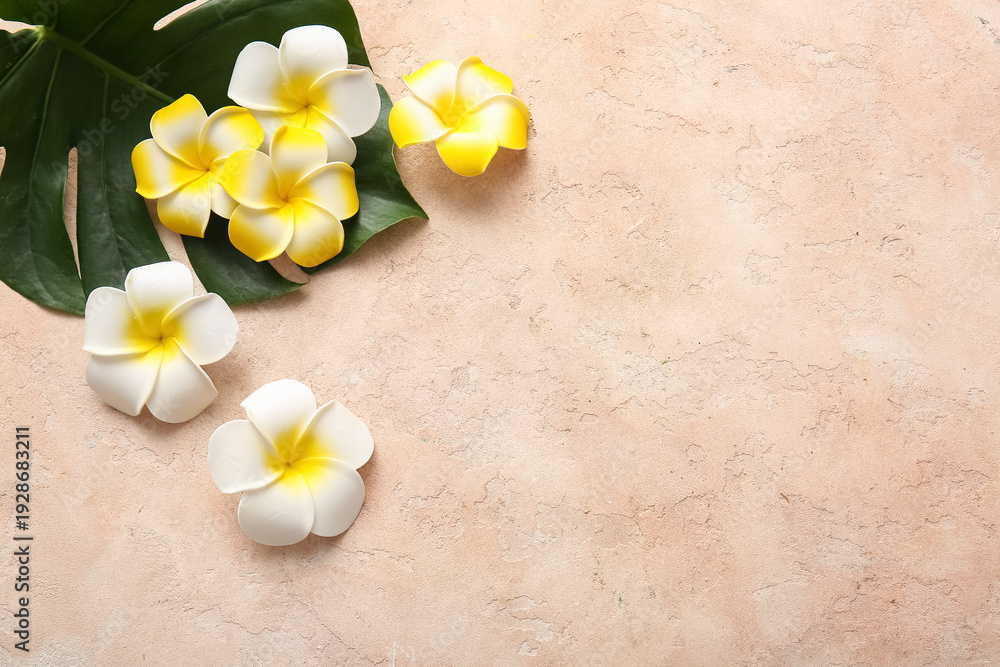 Fototapeta premium Beautiful plumeria flowers with tropical monstera leaf on beige background
