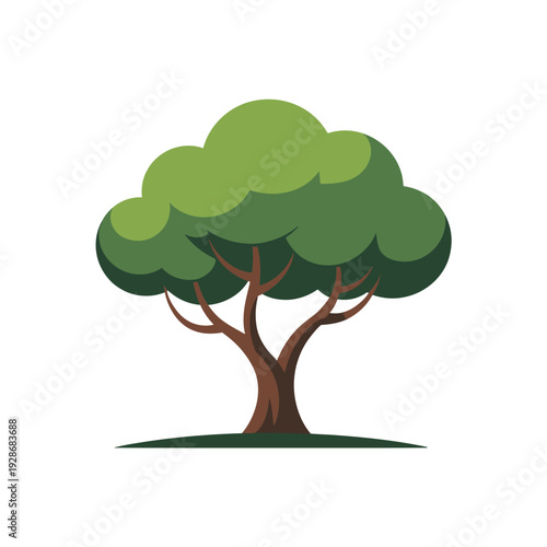 A stylized illustration of a mature deciduous tree with a full green canopy.
