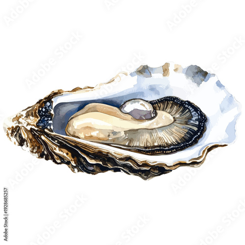 Hand Painted Oyster in Shell