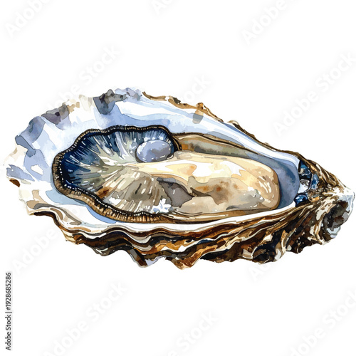 Hand Painted Oyster in Shell