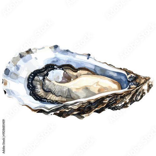 Hand Painted Oyster in Shell