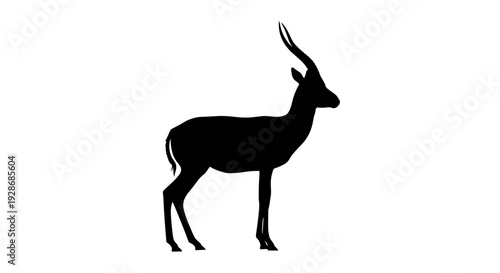 Black Silhouette of Antelope Standing Alone.