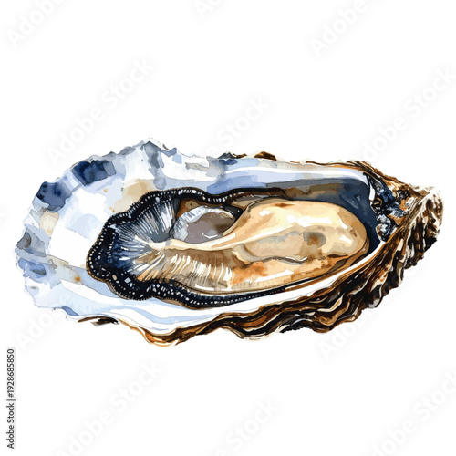 Hand Painted Oyster in Shell