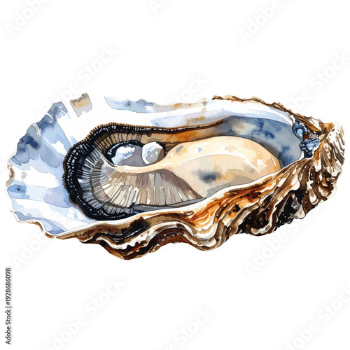 Hand Painted Oyster in Shell