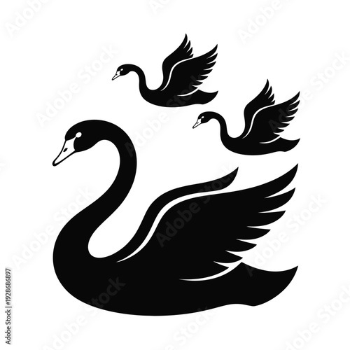 Three elegant black swans are depicted in this graphic illustration.
