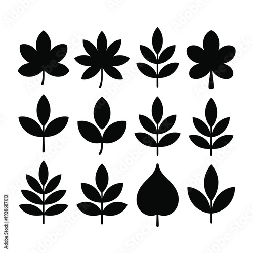 A collection of stylized black leaf silhouettes represents diverse botanical forms.