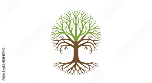Stylized tree illustration on white background nature and growth concept