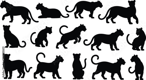 Big cat silhouette collection with panther leopard poses isolated wild animal vector set