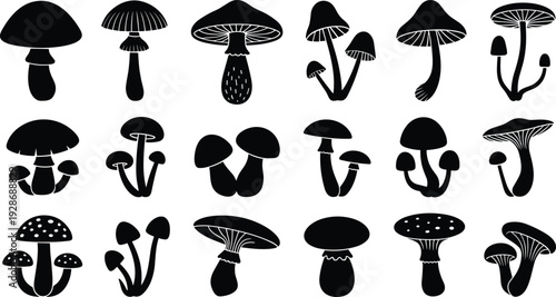 Mushroom silhouette collection with various forest fungi shapes isolated black botanical vector set