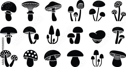 Mushroom silhouette icon set with various forest fungi shapes isolated black vector collection