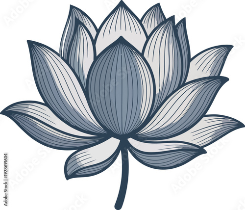 Stylized Blue Lotus Flower Illustration with Detailed Petals and Stem Minimalist Floral Art Nature Vector