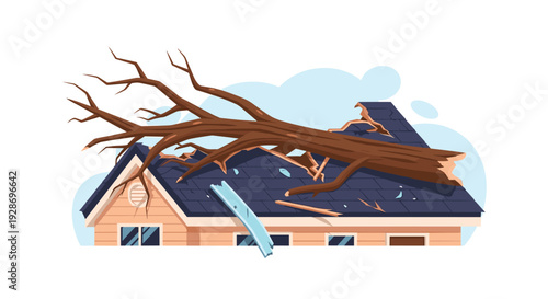 A massive bare tree lies across the damaged blue roof of an orange house with light blue clouds visible in the background sky.