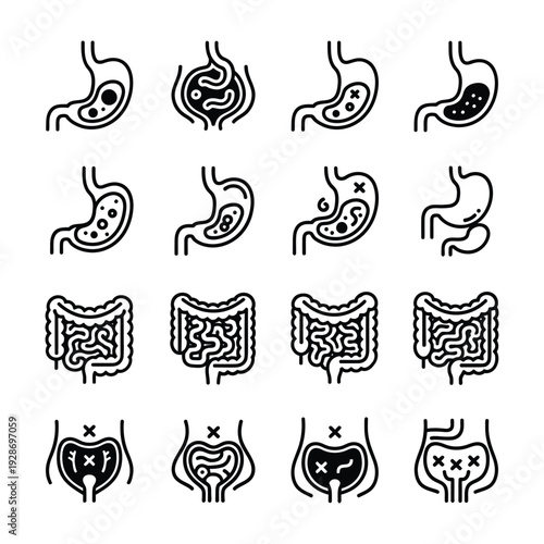 Set of 16 human digestive system icons vector