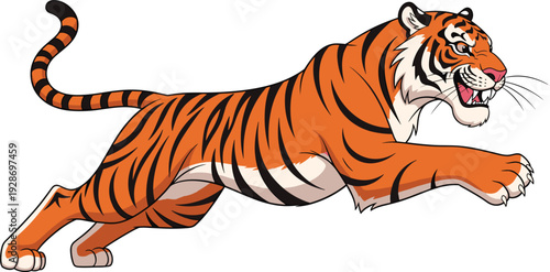 Powerful cartoon vector illustration of a wild orange tiger leaping through the air with sharp claws and bared teeth for jungle wildlife branding