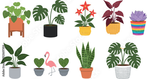 Set of Colorful Hand Drawn Vector Indoor Houseplant Illustrations Including Monstera Snake Plant and Flamingo Decor Isolated on White Background for Home Interior Design (25 words)