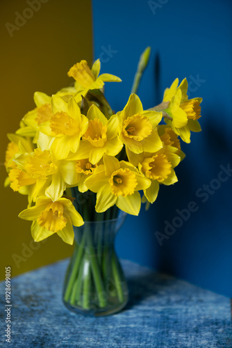 Yellow daffodils' bouquet in glass vase on blue and yellow background, spring floral still life