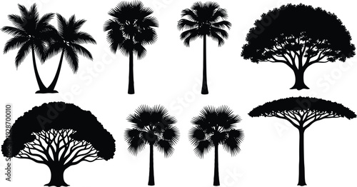 African Acacia and Palm Tree Silhouettes Vector Set, Diverse Tropical and Savannah Black Icons, Exotic Nature Landscape Graphics, Realistic Detailed Collection for Design.