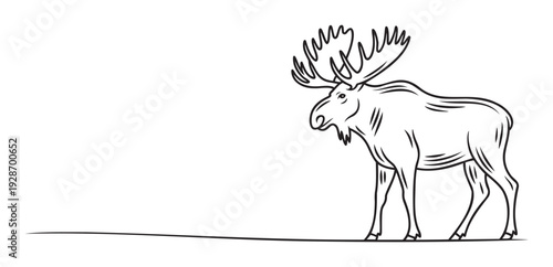Bold black line drawing of a majestic moose with large antlers, suitable for branding, educational materials, or a striking graphic in naturethemed publications.