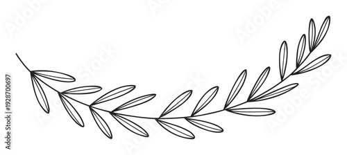 Graceful minimalist line drawing of a curved botanical branch with delicate leaves perfect for elegant wedding invitations, greeting cards, and natureinspired branding projects.